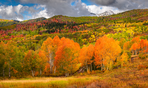 Some Things Always Change