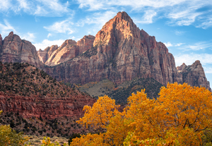 Yellow’s and Red Rock