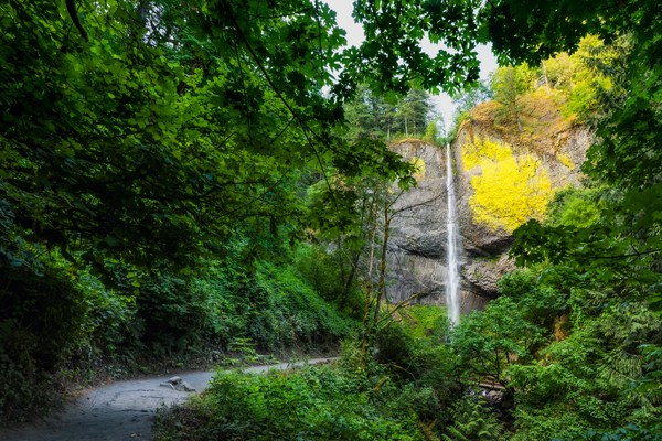 Path to Cascades Print