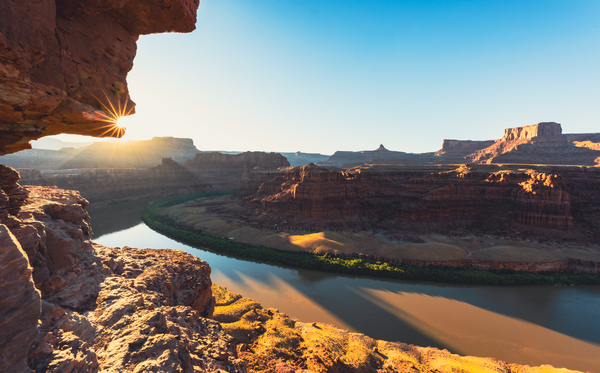 Chicken Corner Sun Burst Print