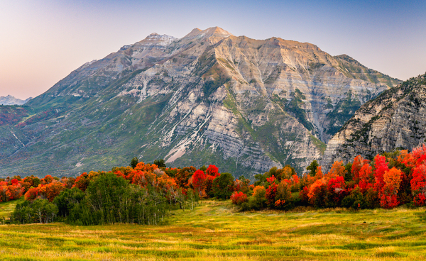 The Start of Fall Print