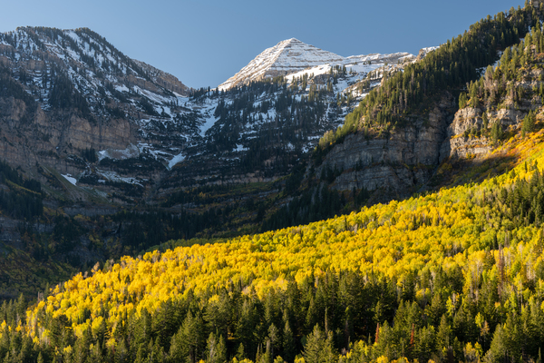 Around the Bend Print