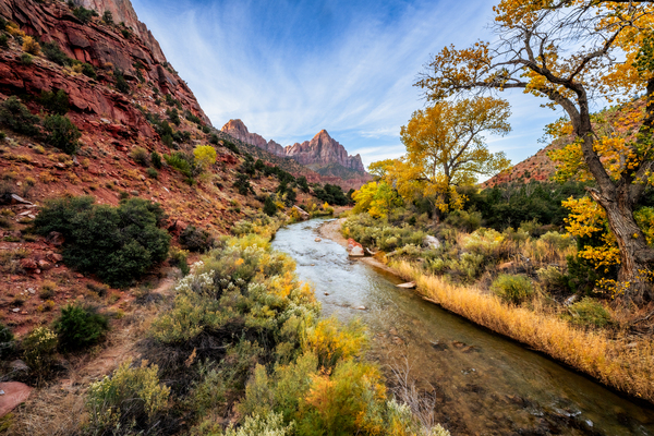 Fall in Zion National Park Print