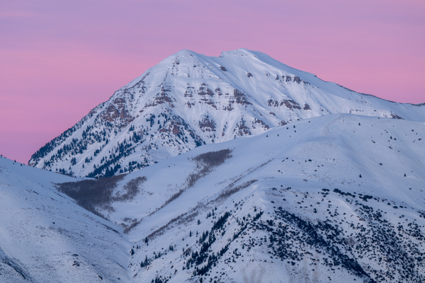 Timp and Pink Skies Print
