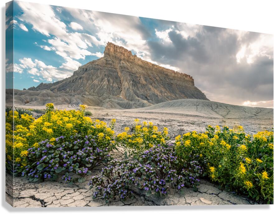 Wild Flowers and Factory Butt Canvas Print