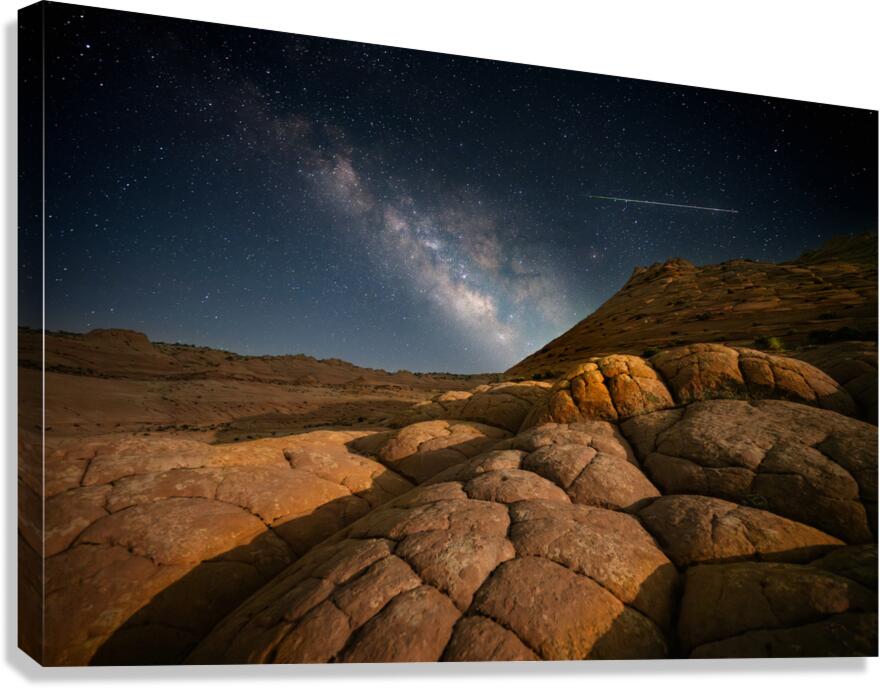 Shooting Your Shot Canvas Print