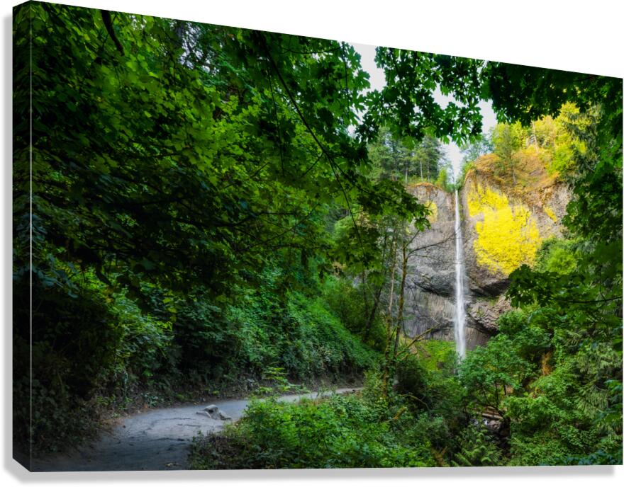 Path to Cascades Canvas Print