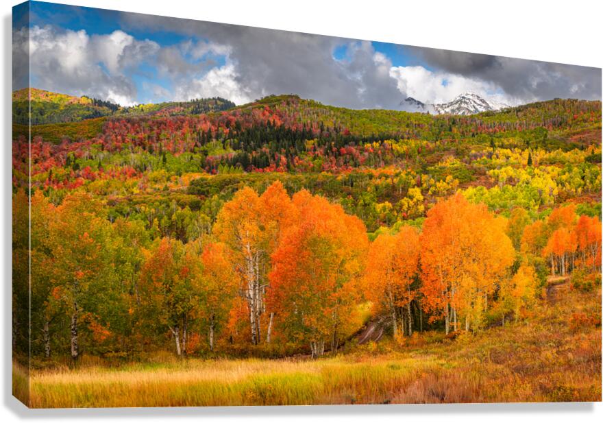 Some Things Always Change Canvas Print