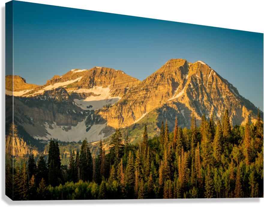 Backside of Timp Canvas Print