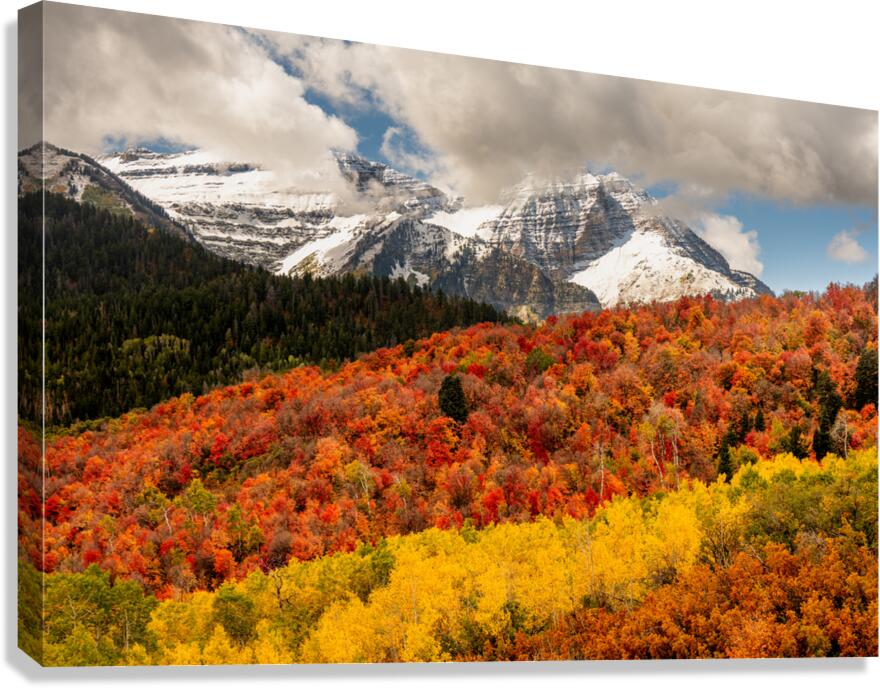 Layers of Seasons Canvas Print