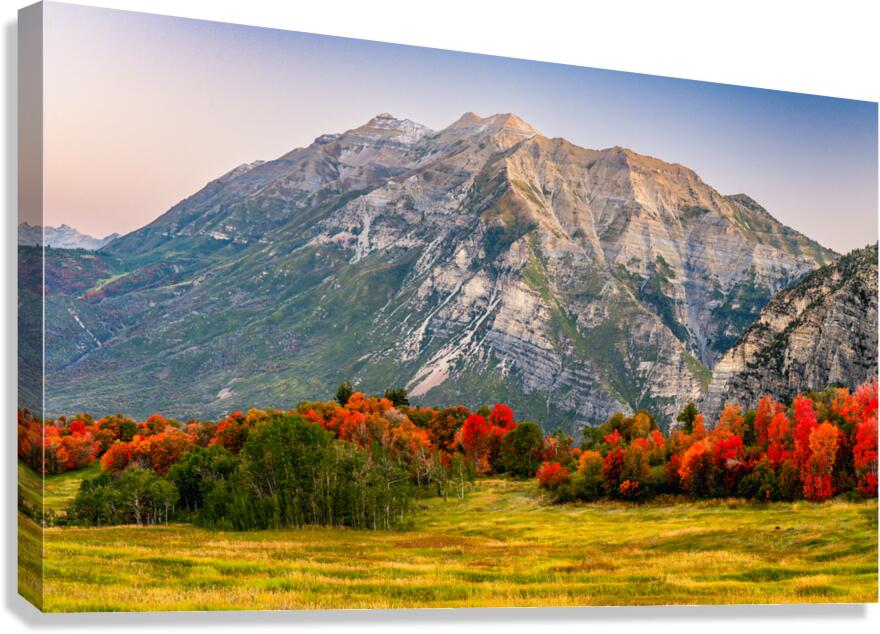 The Start of Fall Canvas Print