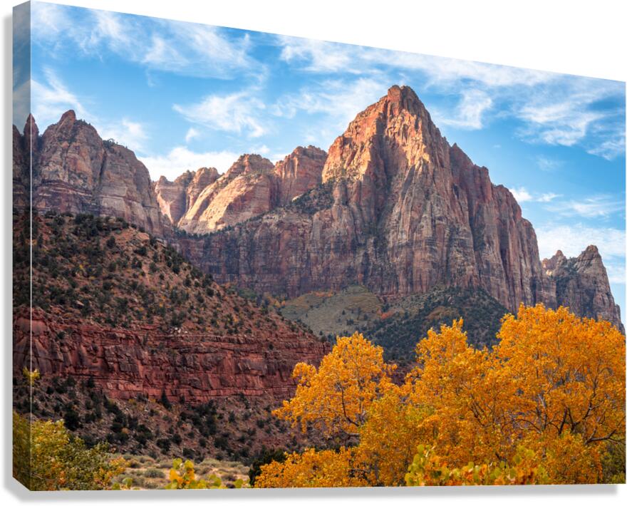 Yellow’s and Red Rock Canvas Print