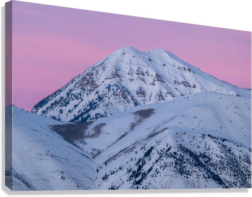 Timp and Pink Skies Canvas Print