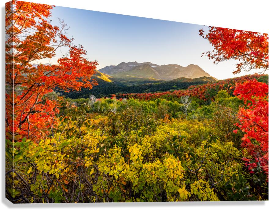 Color All Around Canvas Print