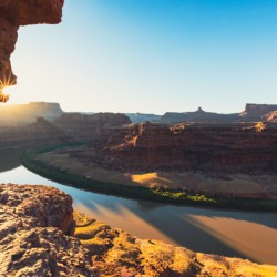 Chicken Corner Sun Burst