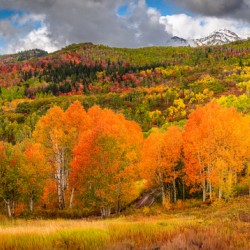 Some Things Always Change