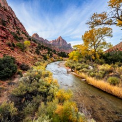 Fall in Zion National Park