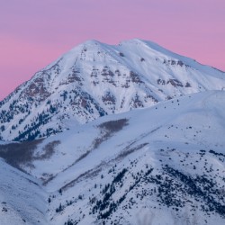 Timp and Pink Skies