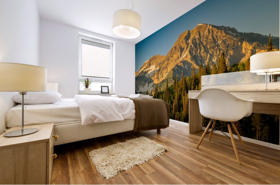 Backside of Timp Mural print