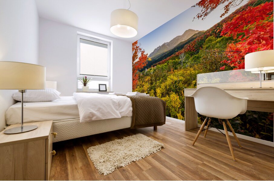 Color All Around Mural print