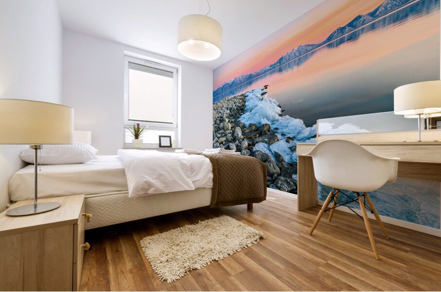 Rocky Ice Shore Line Mural print