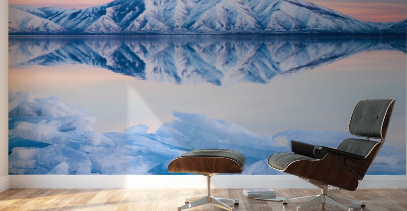 Stacks Wall Murals