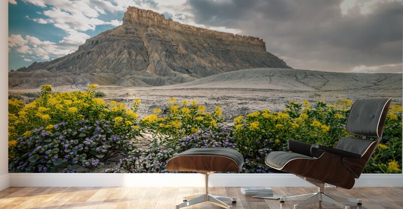 Wild Flowers and Factory Butt Wall Murals