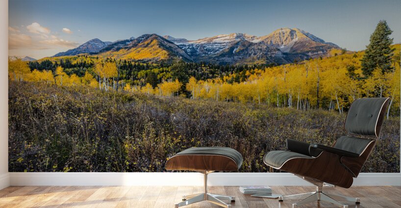 Morning Timp Wall Murals