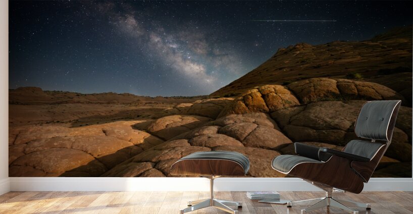 Shooting Your Shot Wall Murals