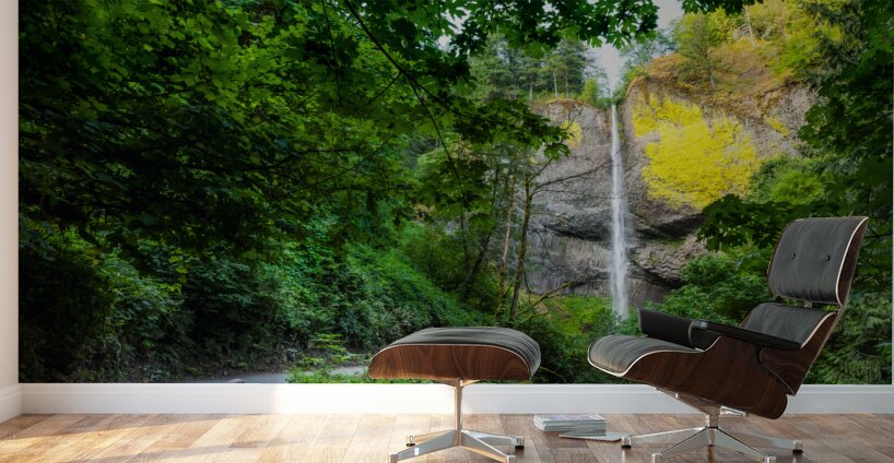 Path to Cascades Wall Murals