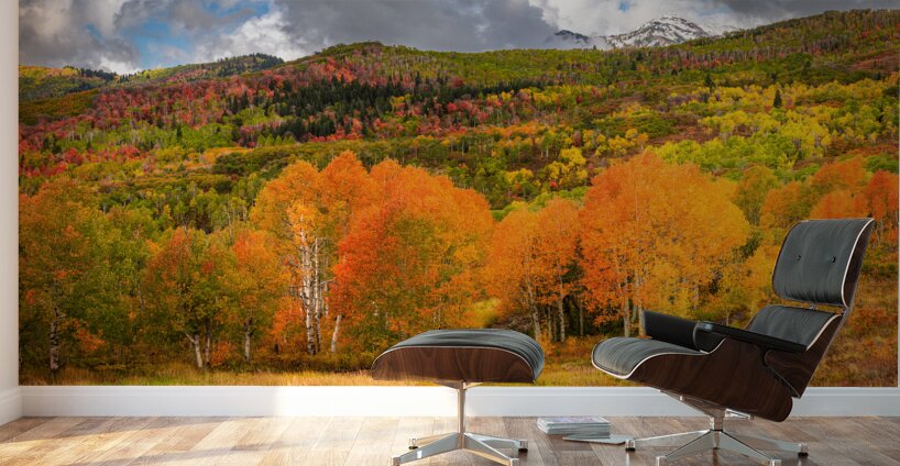 Some Things Always Change Wall Murals