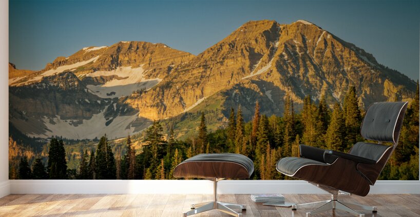 Backside of Timp Wall Murals