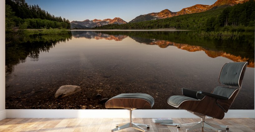 Reflective Morning Wall Murals