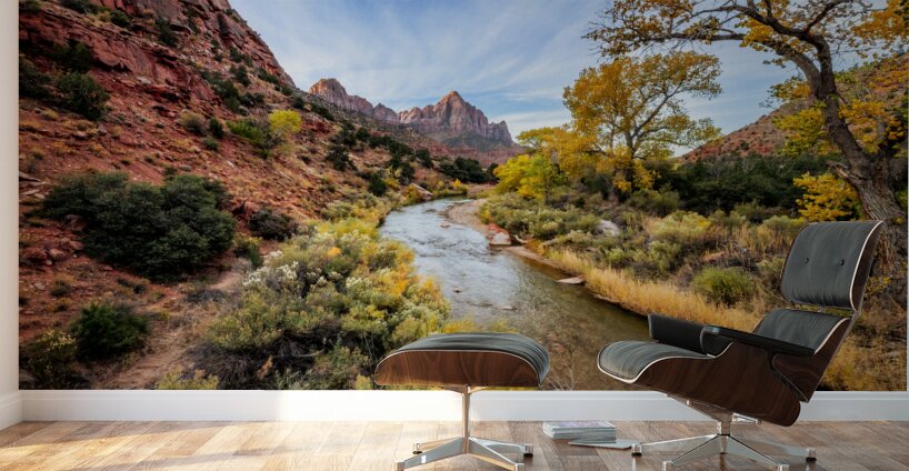 Fall in Zion National Park Wall Murals