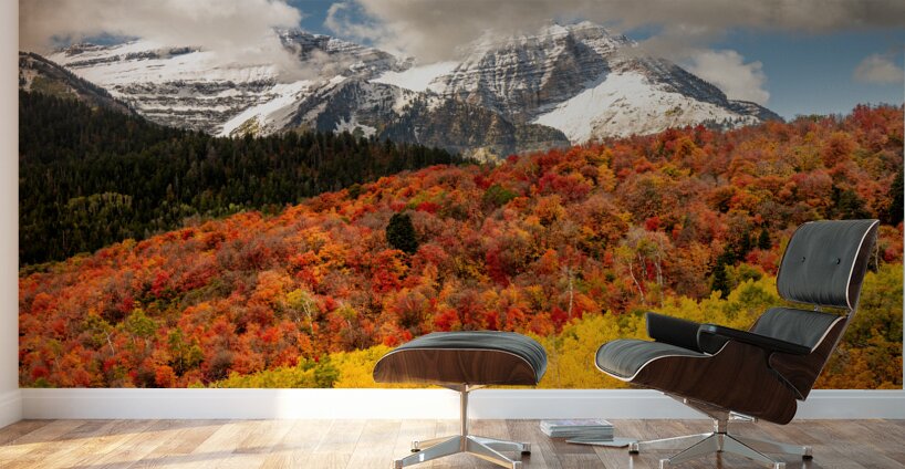 Layers of Seasons Wall Murals