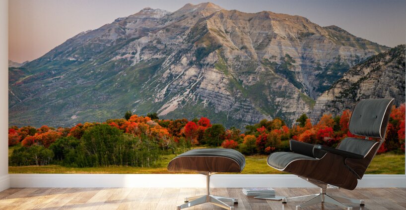 The Start of Fall Wall Murals