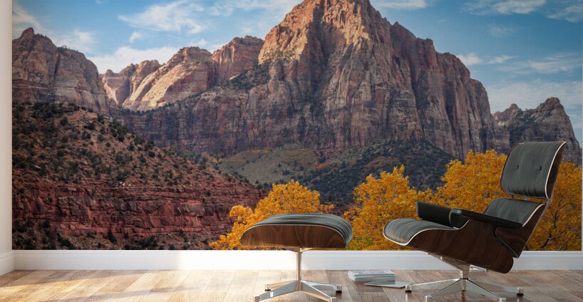 Yellow’s and Red Rock Wall Murals