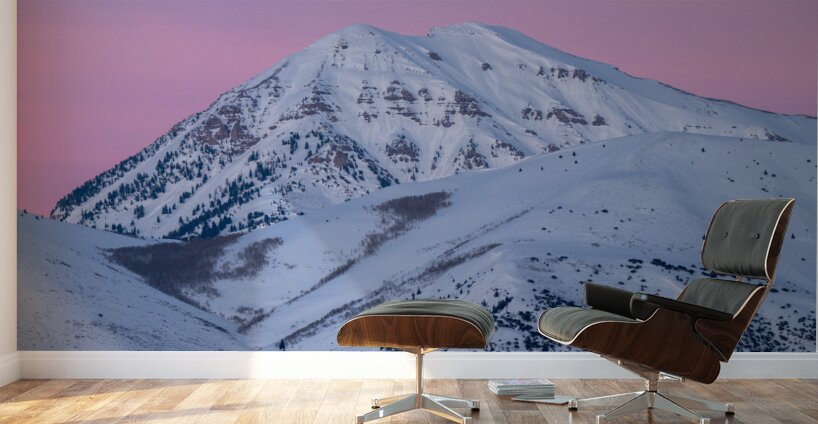 Timp and Pink Skies Wall Murals