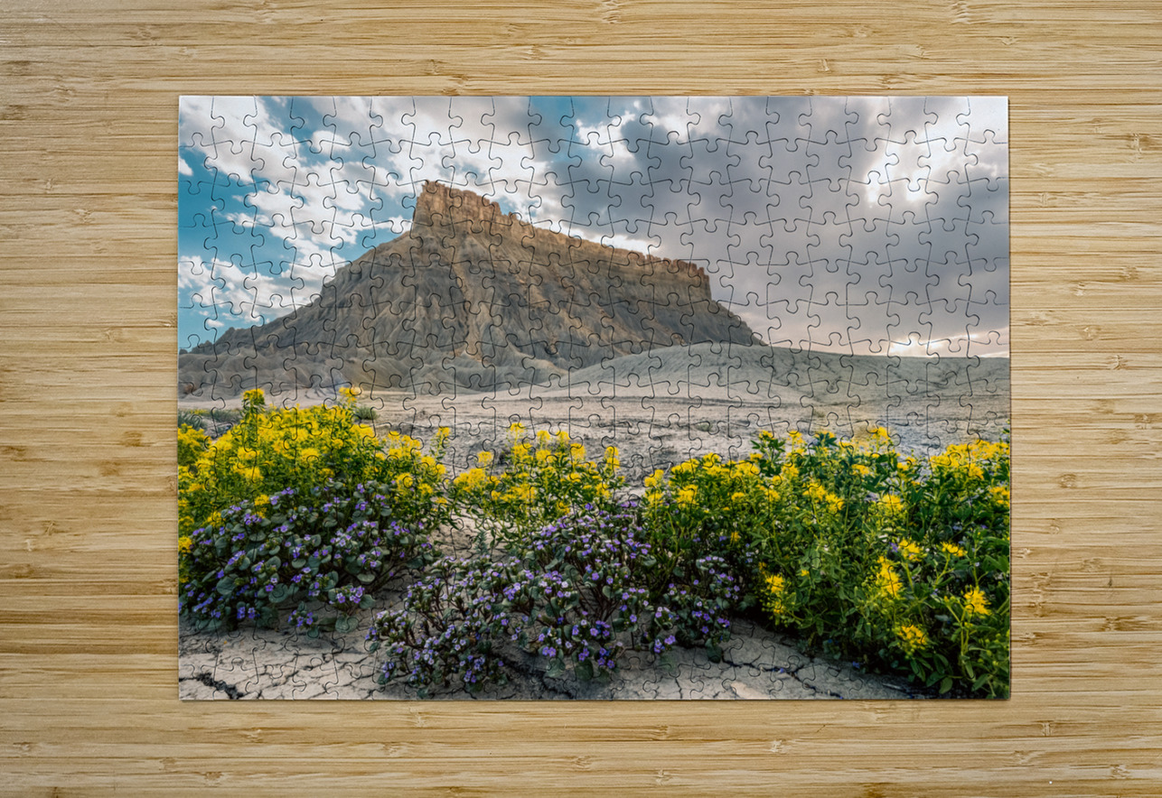 Wild Flowers and Factory Butt E2 Photography Puzzle printing