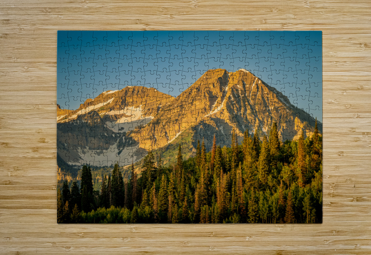 Backside of Timp E2 Photography Puzzle printing