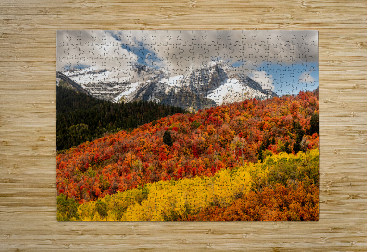 Layers of Seasons E2 Photography Puzzle printing