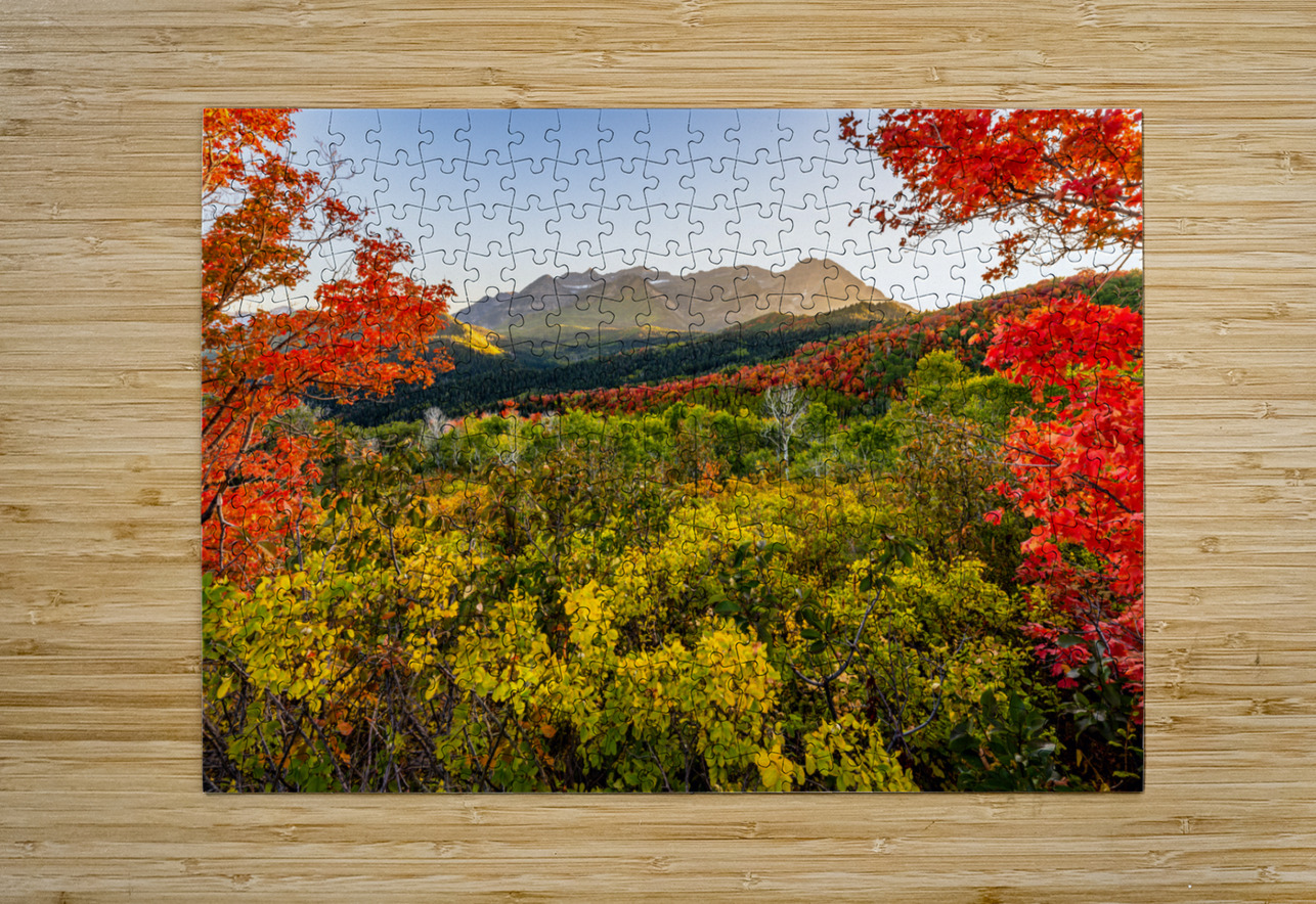 Color All Around E2 Photography Puzzle printing
