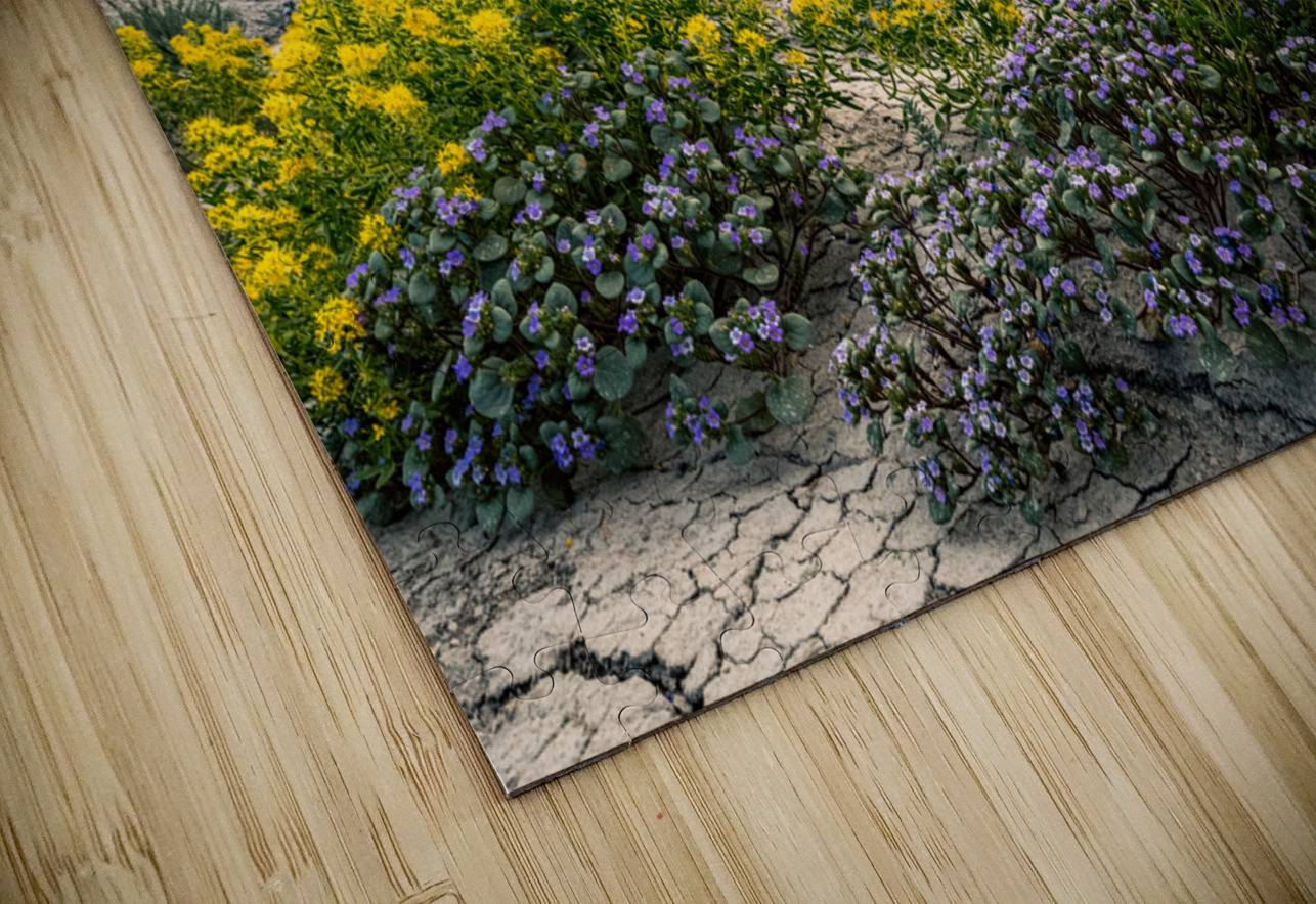 Wild Flowers and Factory Butt E2 Photography Puzzle