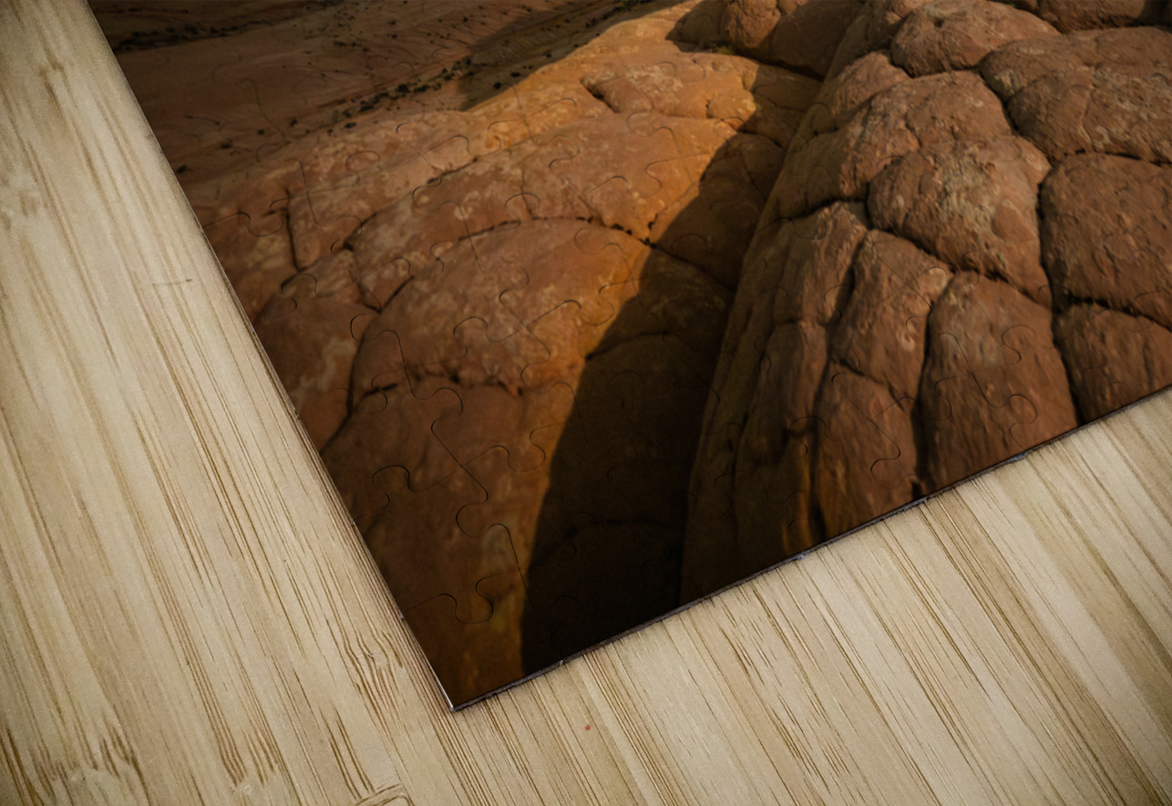 Shooting Your Shot E2 Photography Puzzle