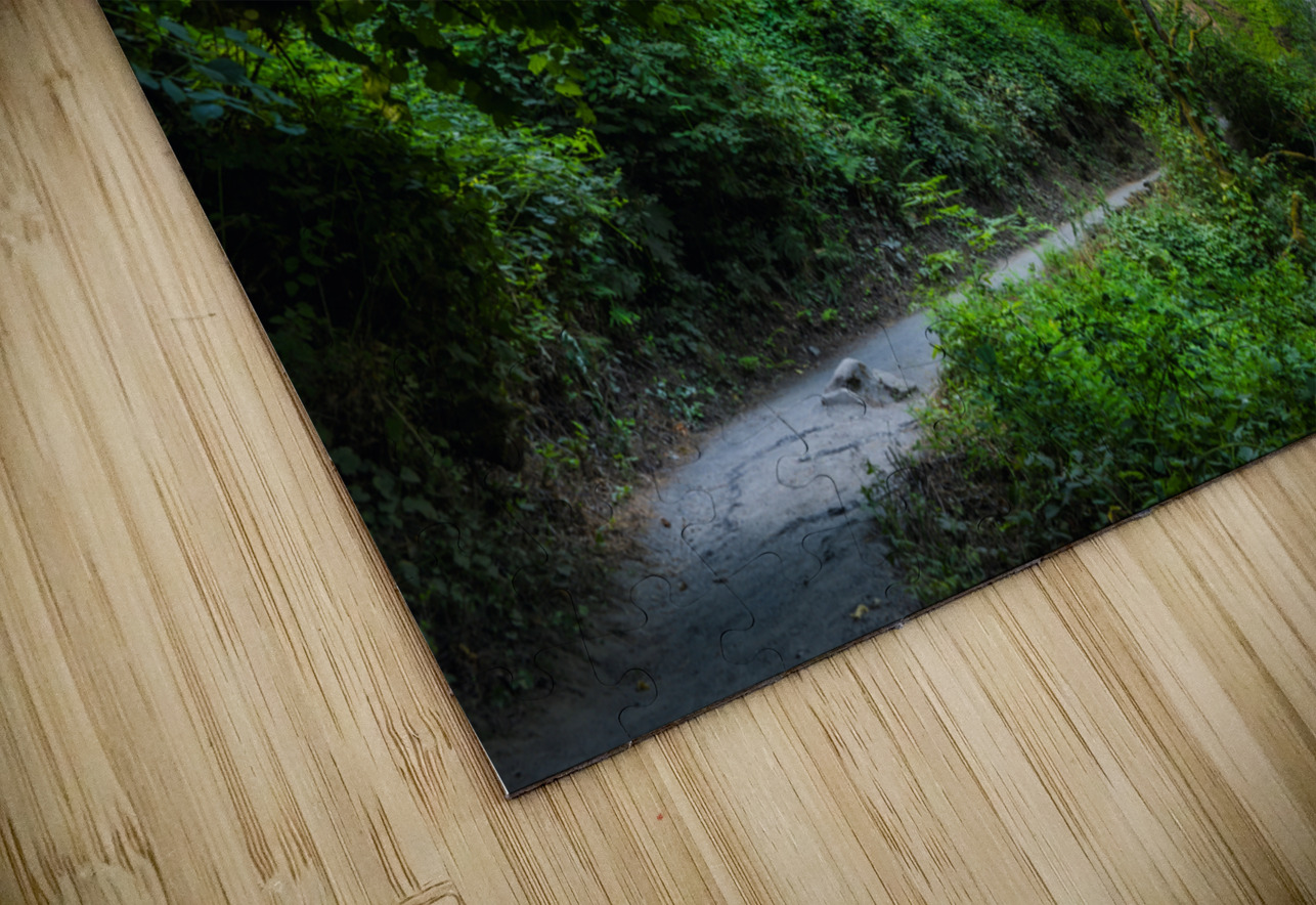 Path to Cascades E2 Photography Puzzle