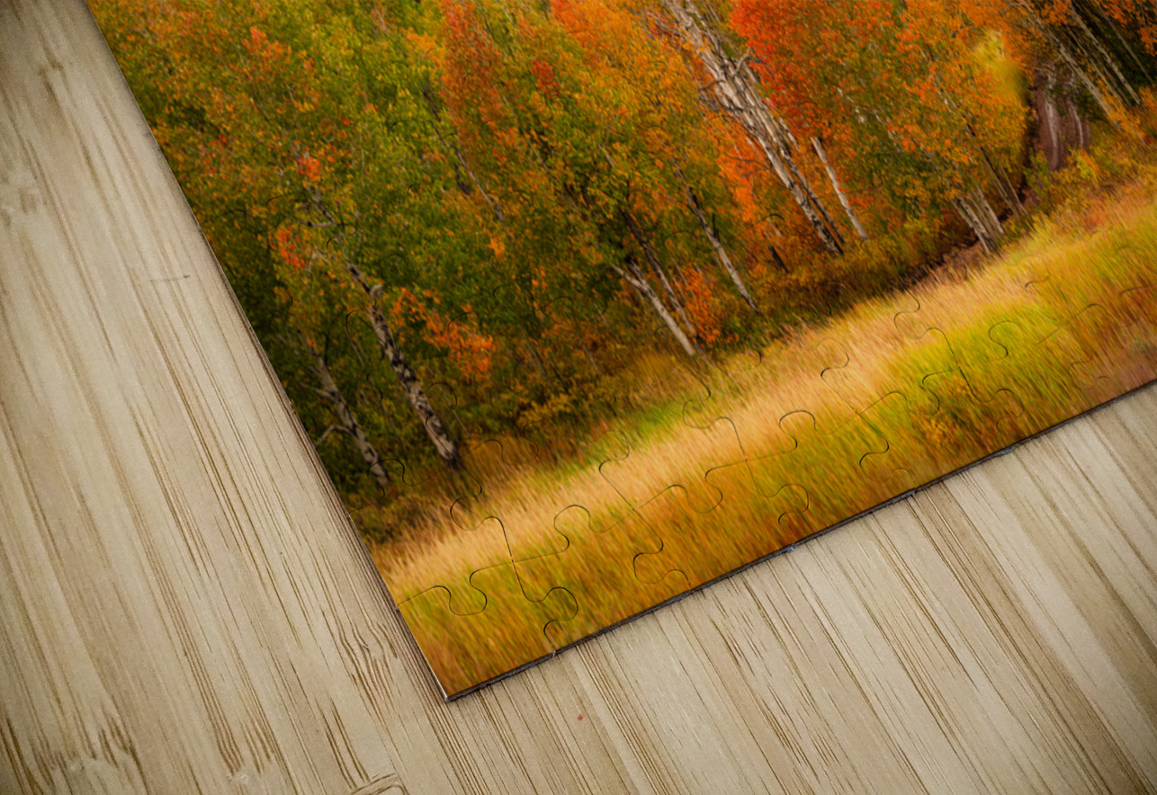 Some Things Always Change E2 Photography Puzzle