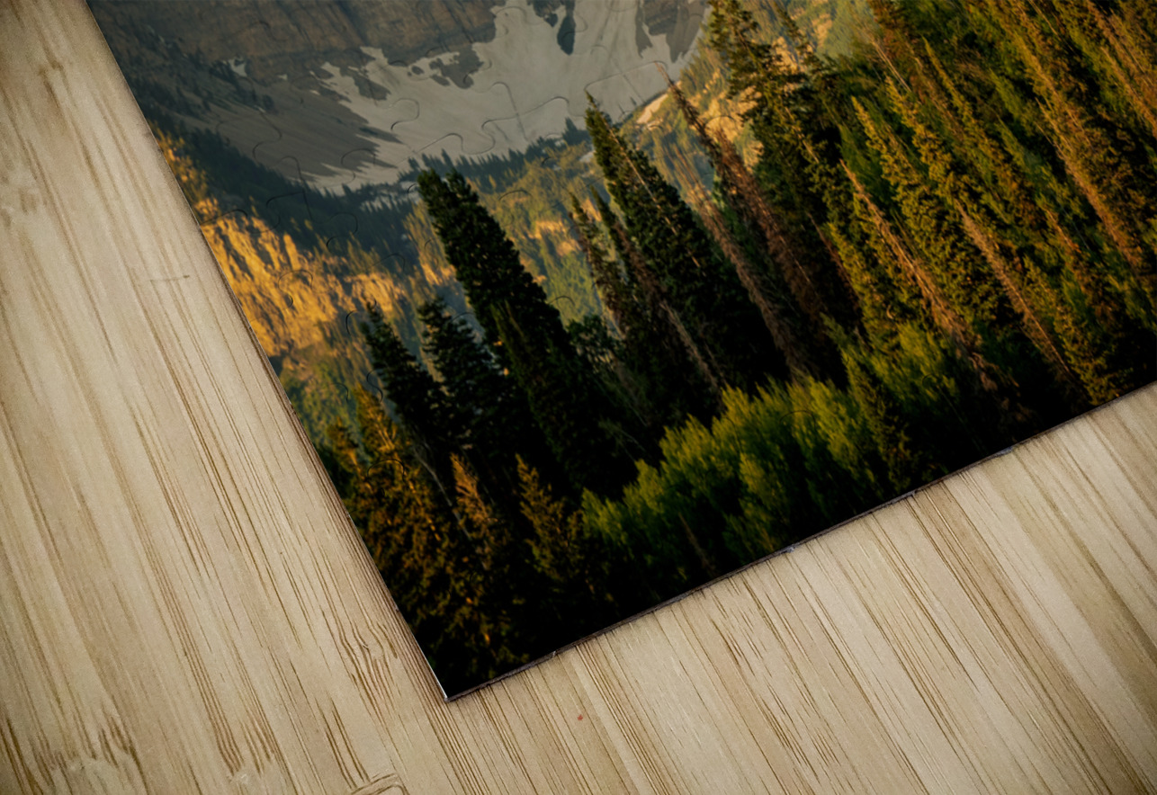 Backside of Timp E2 Photography Puzzle