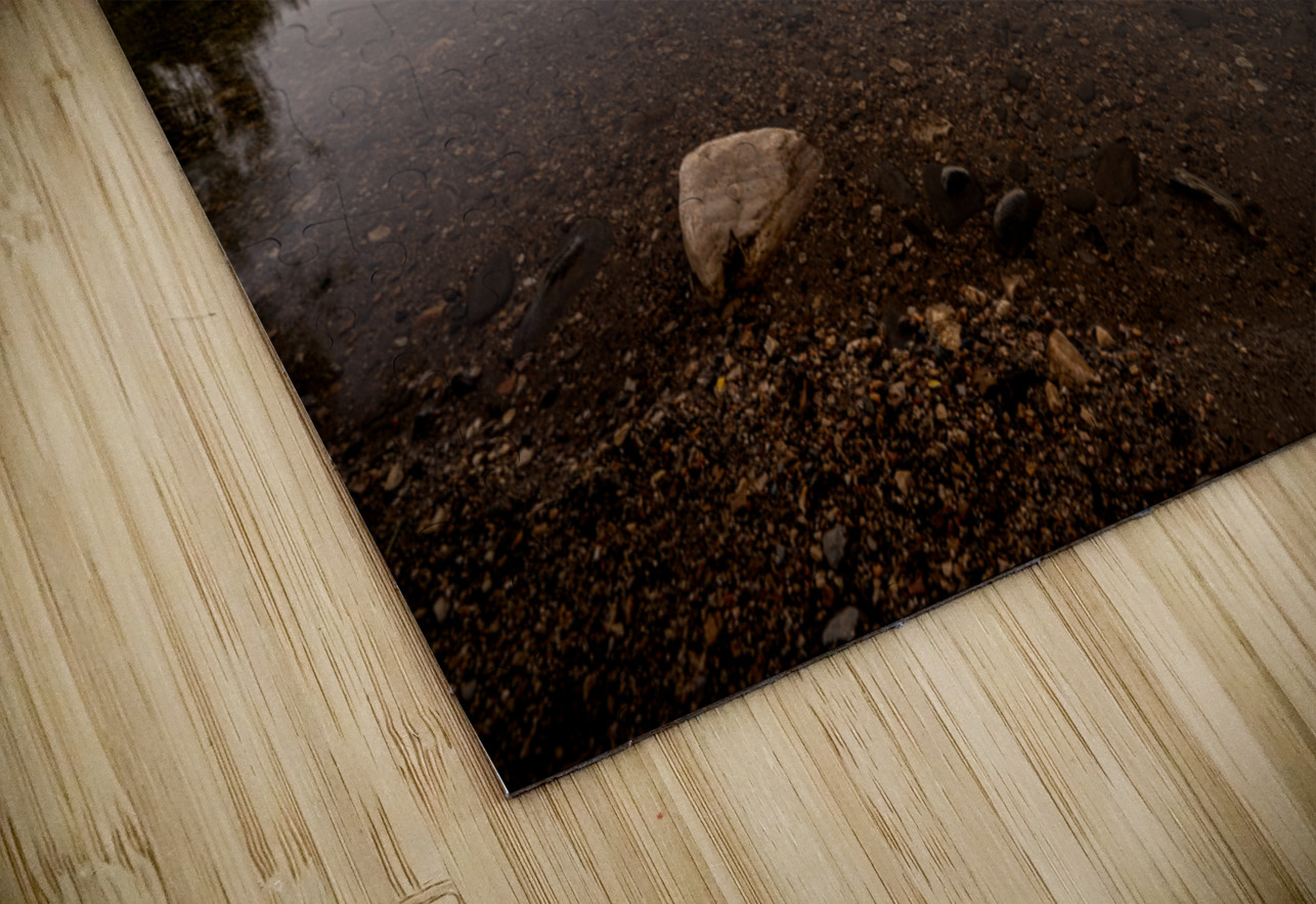 Reflective Morning E2 Photography Puzzle