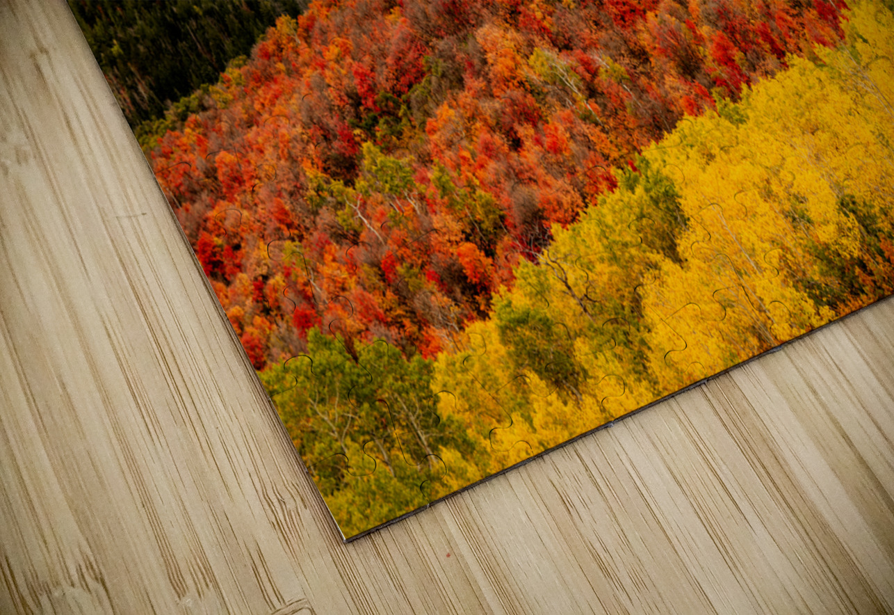 Layers of Seasons E2 Photography Puzzle