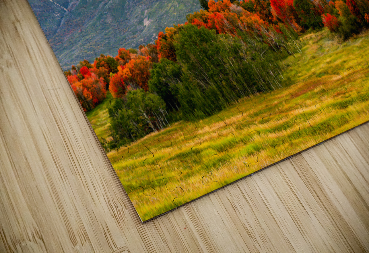 The Start of Fall E2 Photography Puzzle